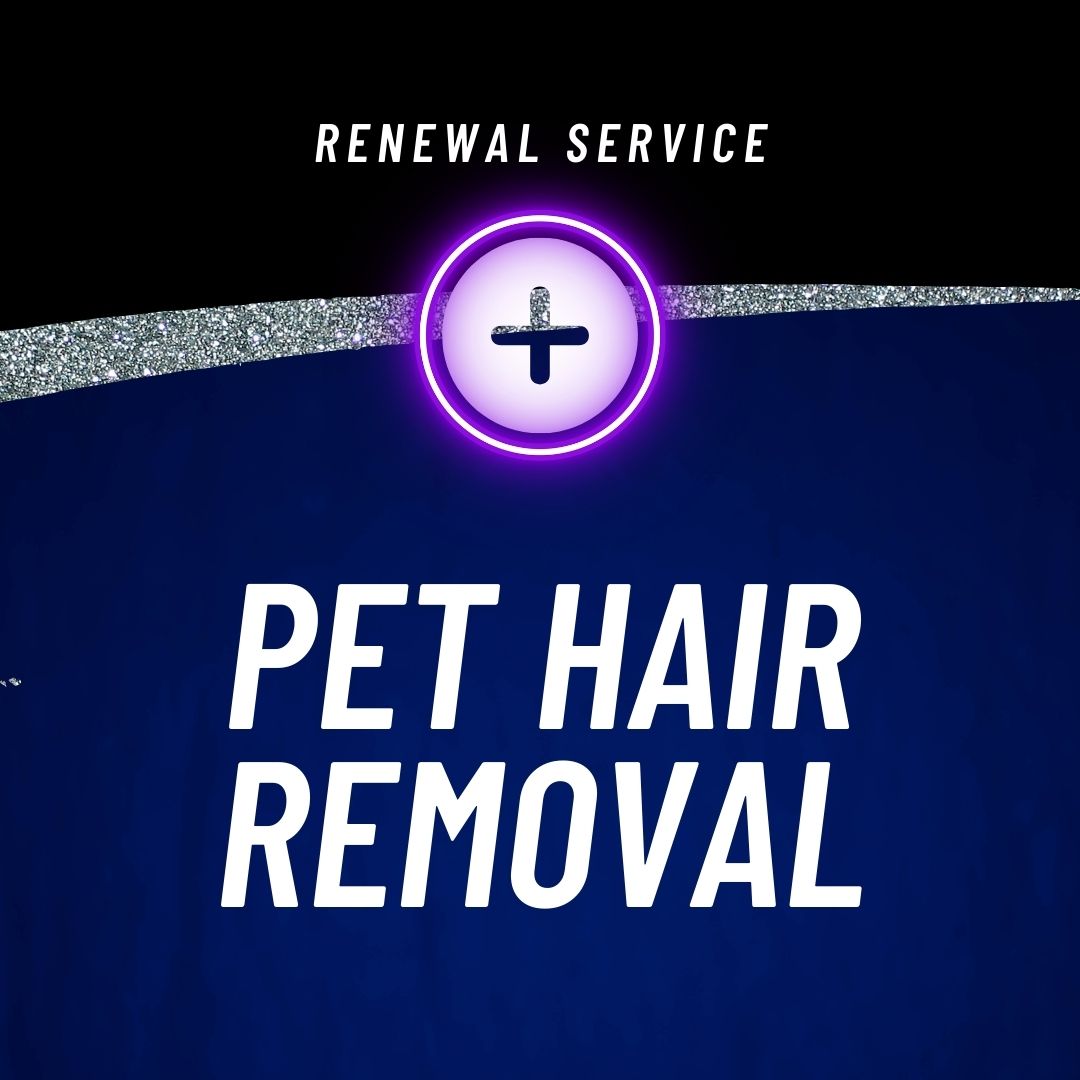 RENEWAL - PET HAIR REMOVAL